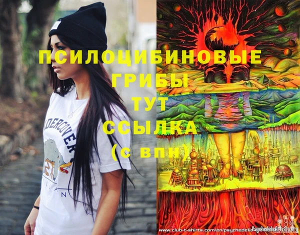 соль ск Покачи