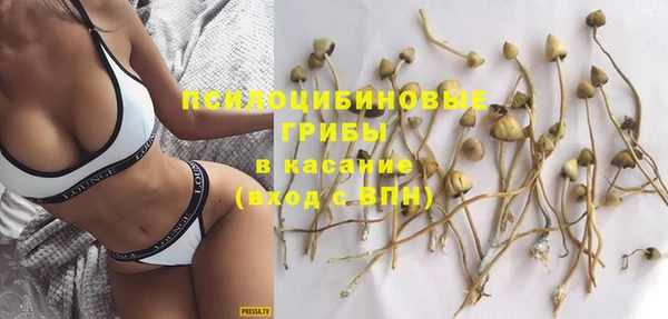 меф Пересвет
