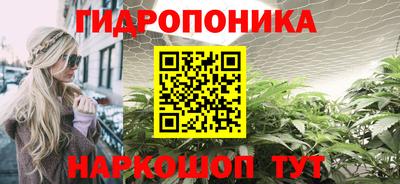 ПСИЛОЦИБИНОВЫЕ ГРИБЫ Аргун