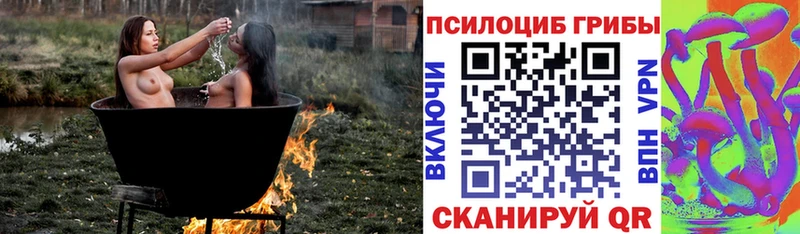дарнет шоп  Балабаново  shop наркотические препараты  Галлюциногенные грибы Psilocybine cubensis 