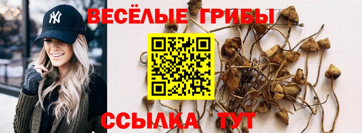 Галлюциногенные грибы Psilocybe  Псилоцибиновые грибы ЛСД  Балабаново  Вход с VPN 