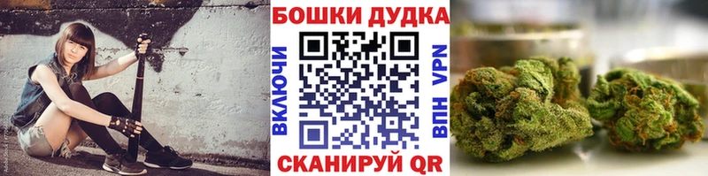 продажа наркотиков  kraken зеркало  Бошки марихуана сатива  Балабаново 